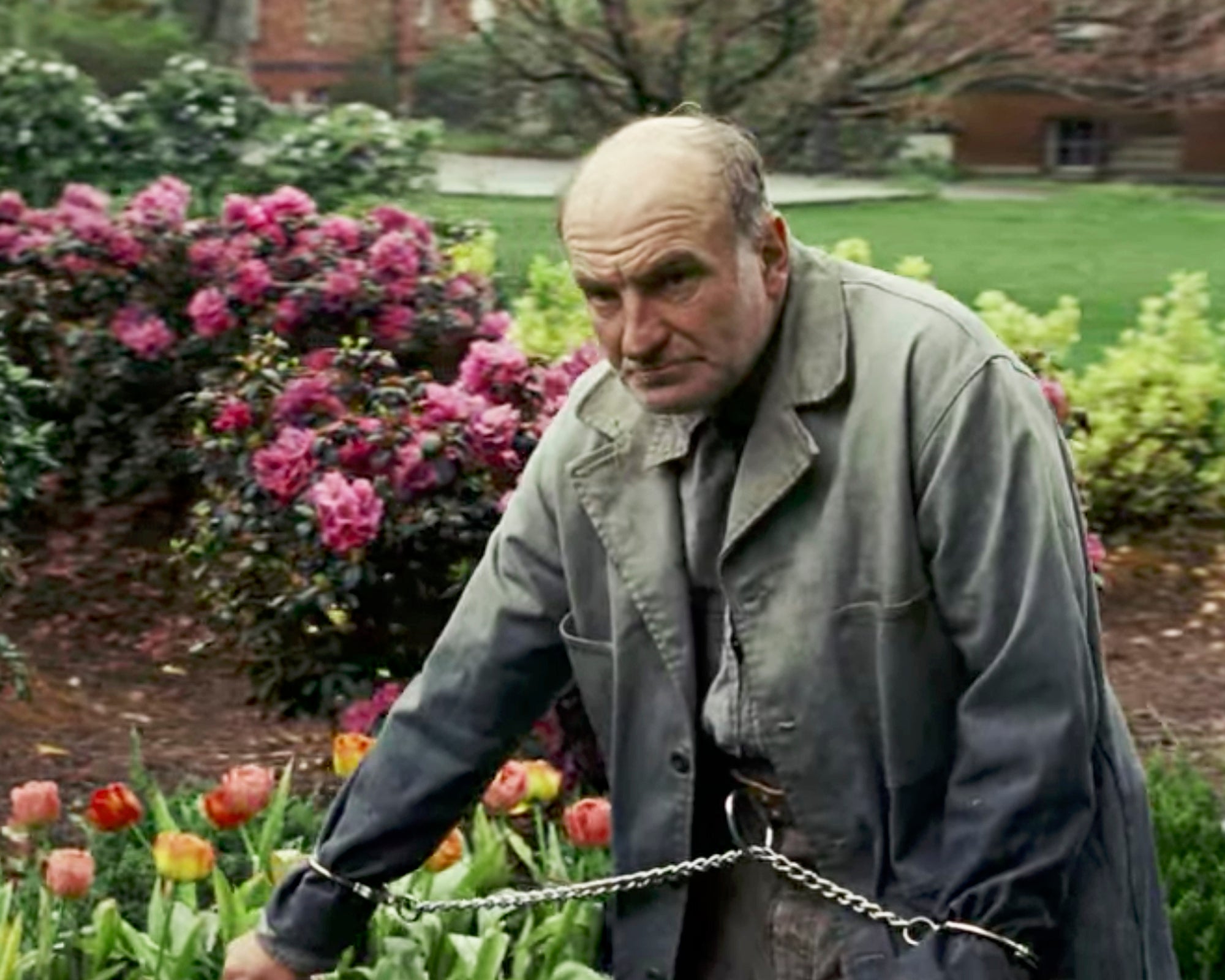 Signed Radioman "Shutter Island" Photo without movie logo