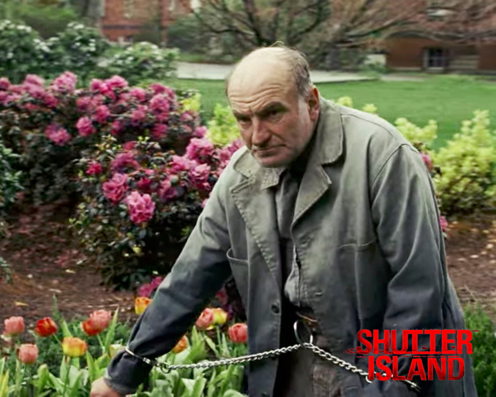 Signed Radioman "Shutter Island" Photo w/ movie logo